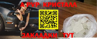 Альфа ПВП Ярославль