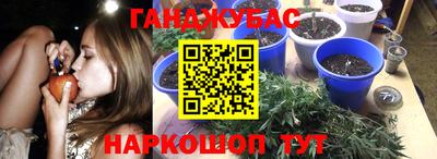 гидра Апшеронск