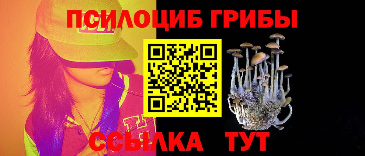 Галлюциногенные грибы Psilocybe Белгород