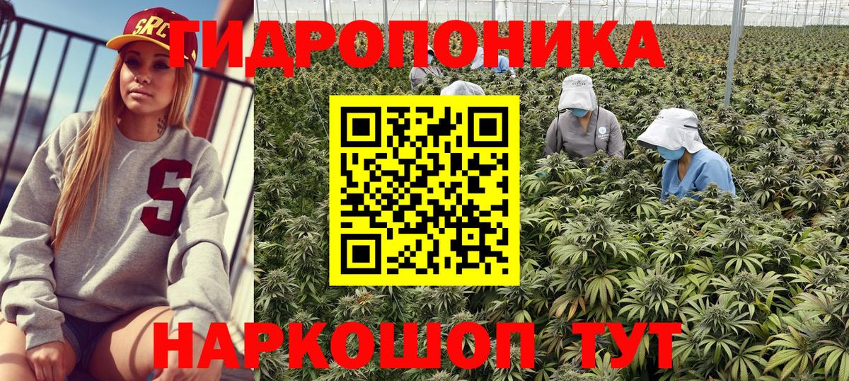 Марихуана план  Белгород  Шишки марихуана сатива  Шишки марихуана MAZAR  Каннабис OG Kush 